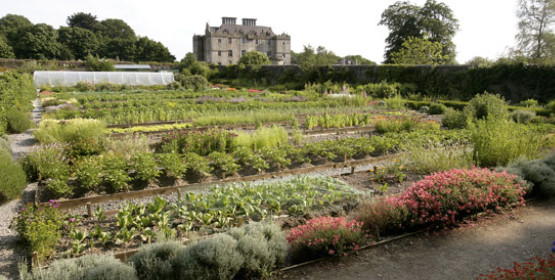 Portumna Castle Garden