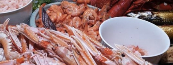 Shellfish Shellfish