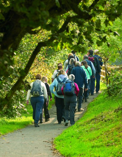 river cruises on the shannon