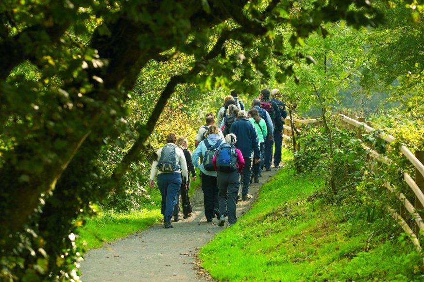 Walking Cruise Ireland