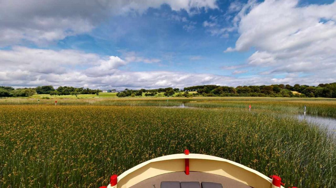 The swampy territory of the Shannon River