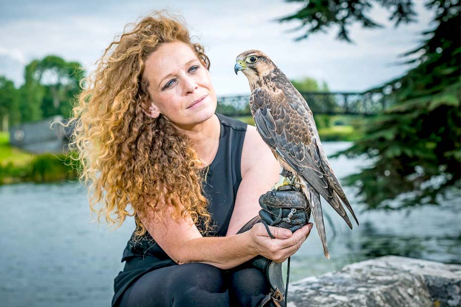 Adare Country Pursuits with Bird of Prey