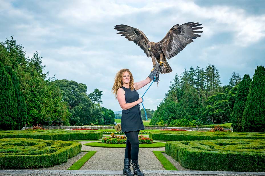 Adare Country Pursuits with Bird of Prey A woman is holding a bird of prey eagle on her arm at Adare Manor